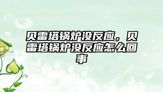 貝雷塔鍋爐沒反應(yīng)，貝雷塔鍋爐沒反應(yīng)怎么回事