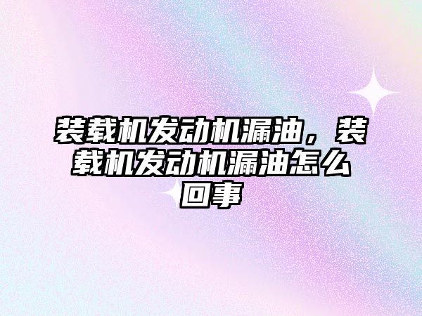 裝載機發動機漏油，裝載機發動機漏油怎么回事