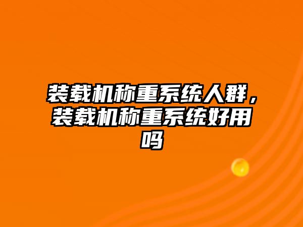 裝載機稱重系統人群，裝載機稱重系統好用嗎