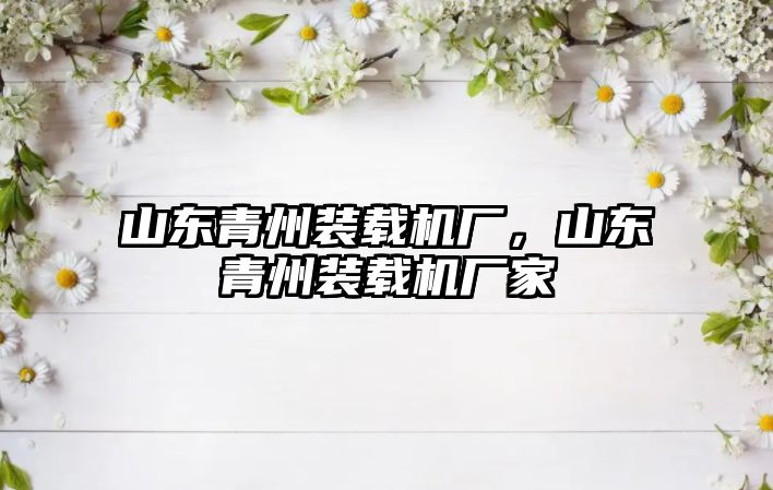 山東青州裝載機廠，山東青州裝載機廠家