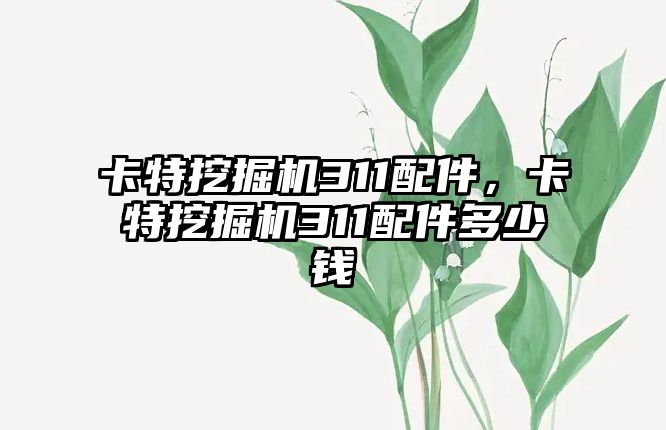 卡特挖掘機311配件，卡特挖掘機311配件多少錢