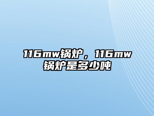 116mw鍋爐，116mw鍋爐是多少噸