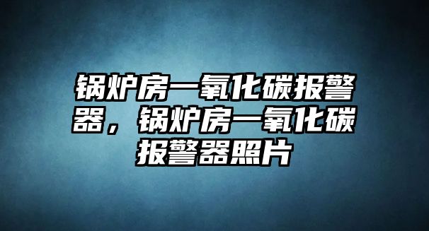 鍋爐房一氧化碳報警器，鍋爐房一氧化碳報警器照片