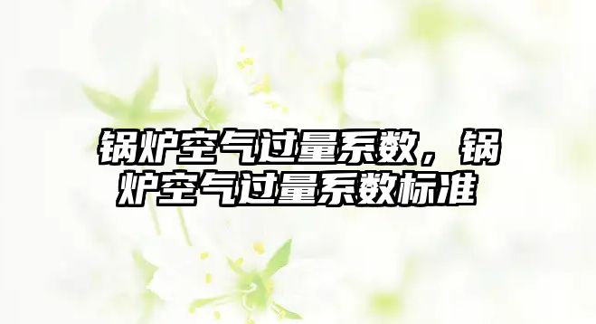 鍋爐空氣過量系數，鍋爐空氣過量系數標準