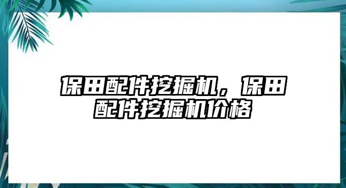 保田配件挖掘機(jī)，保田配件挖掘機(jī)價(jià)格