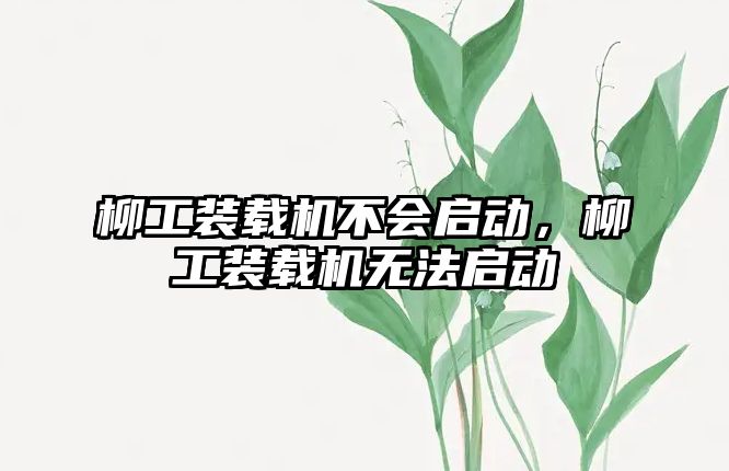 柳工裝載機不會啟動，柳工裝載機無法啟動