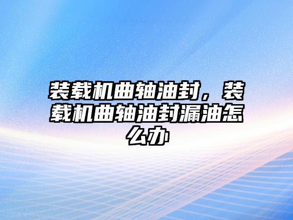 裝載機曲軸油封，裝載機曲軸油封漏油怎么辦