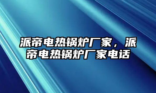 派帝電熱鍋爐廠家，派帝電熱鍋爐廠家電話