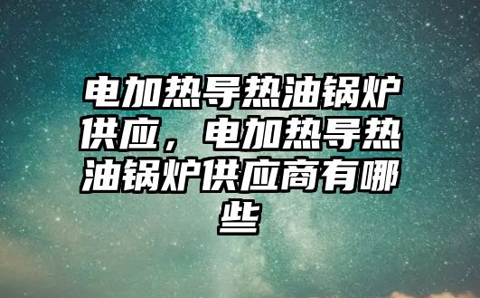 電加熱導熱油鍋爐供應，電加熱導熱油鍋爐供應商有哪些