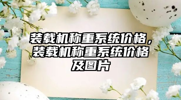 裝載機稱重系統(tǒng)價格，裝載機稱重系統(tǒng)價格及圖片