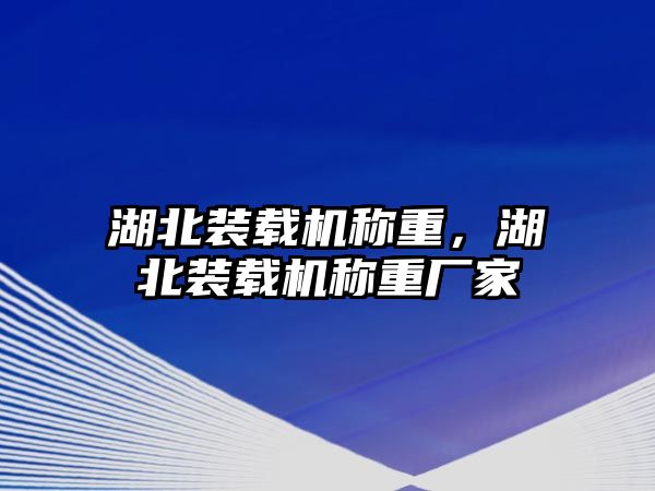 湖北裝載機(jī)稱重，湖北裝載機(jī)稱重廠家