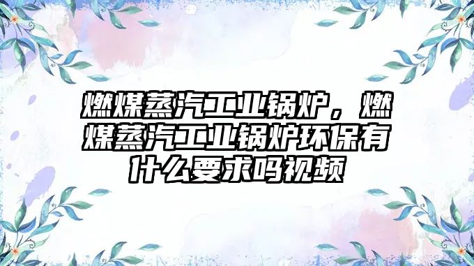 燃煤蒸汽工業鍋爐，燃煤蒸汽工業鍋爐環保有什么要求嗎視頻