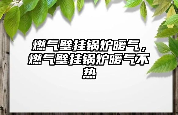 燃氣壁掛鍋爐暖氣，燃氣壁掛鍋爐暖氣不熱