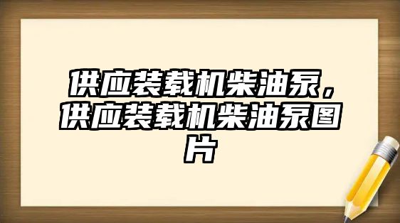 供應裝載機柴油泵，供應裝載機柴油泵圖片