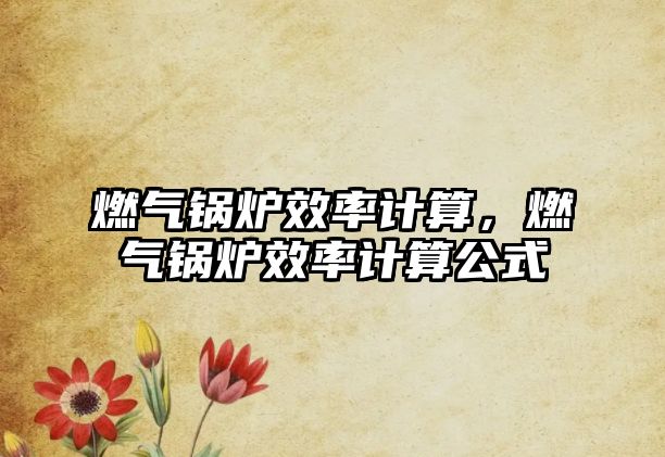 燃?xì)忮仩t效率計算，燃?xì)忮仩t效率計算公式