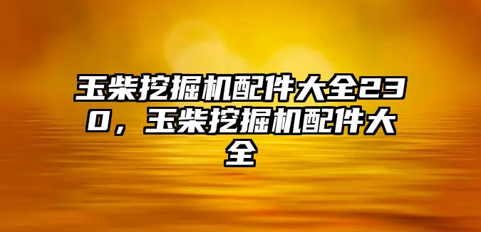 玉柴挖掘機(jī)配件大全230，玉柴挖掘機(jī)配件大全