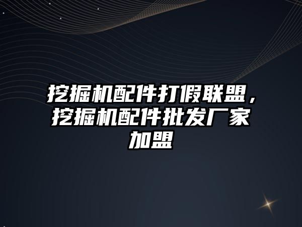 挖掘機配件打假聯盟，挖掘機配件批發廠家加盟