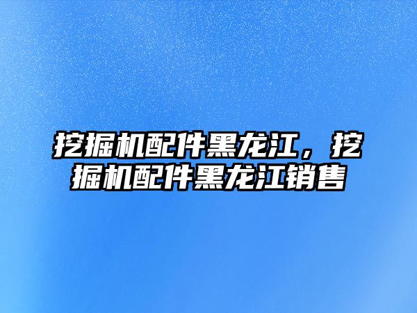 挖掘機配件黑龍江，挖掘機配件黑龍江銷售