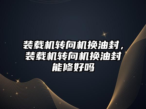 裝載機轉向機換油封，裝載機轉向機換油封能修好嗎