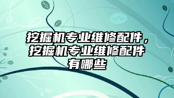 挖掘機專業維修配件，挖掘機專業維修配件有哪些