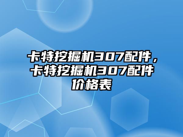 卡特挖掘機307配件，卡特挖掘機307配件價格表