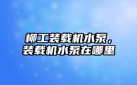 柳工裝載機水泵，裝載機水泵在哪里