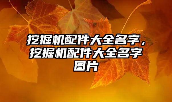 挖掘機配件大全名字，挖掘機配件大全名字圖片