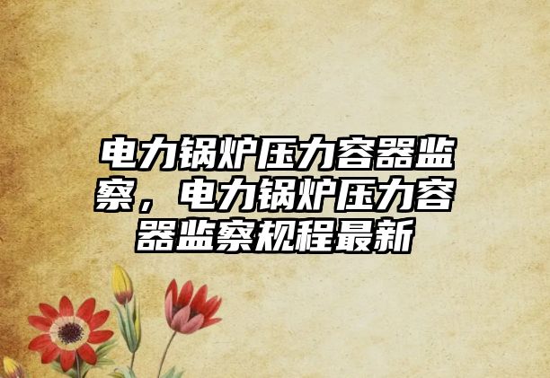 電力鍋爐壓力容器監察，電力鍋爐壓力容器監察規程最新