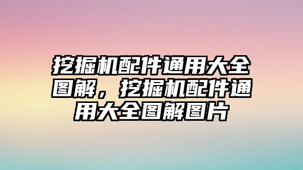 挖掘機配件通用大全圖解，挖掘機配件通用大全圖解圖片