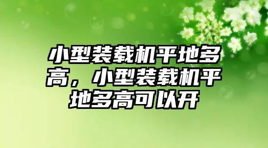 小型裝載機平地多高，小型裝載機平地多高可以開