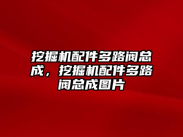 挖掘機配件多路閥總成，挖掘機配件多路閥總成圖片