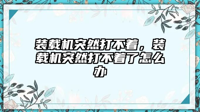 裝載機突然打不著，裝載機突然打不著了怎么辦