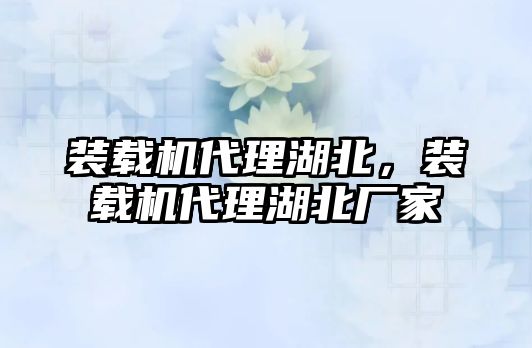 裝載機(jī)代理湖北，裝載機(jī)代理湖北廠家