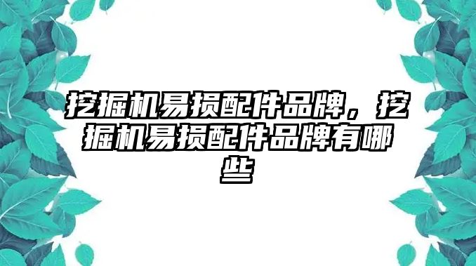 挖掘機易損配件品牌，挖掘機易損配件品牌有哪些