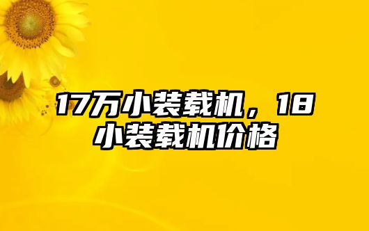 17萬(wàn)小裝載機(jī)，18小裝載機(jī)價(jià)格