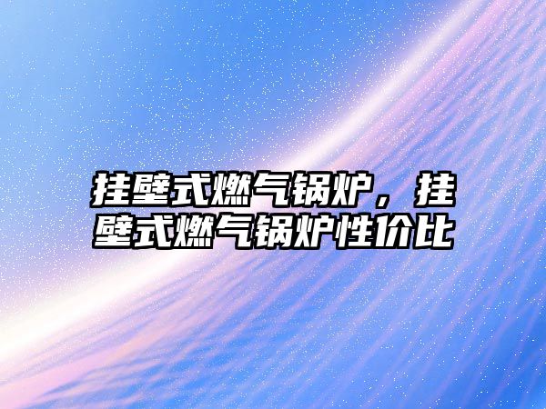 掛壁式燃?xì)忮仩t，掛壁式燃?xì)忮仩t性價比