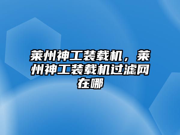 萊州神工裝載機，萊州神工裝載機過濾網在哪