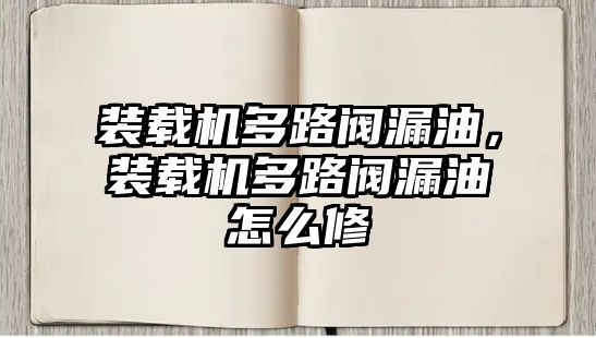 裝載機多路閥漏油，裝載機多路閥漏油怎么修