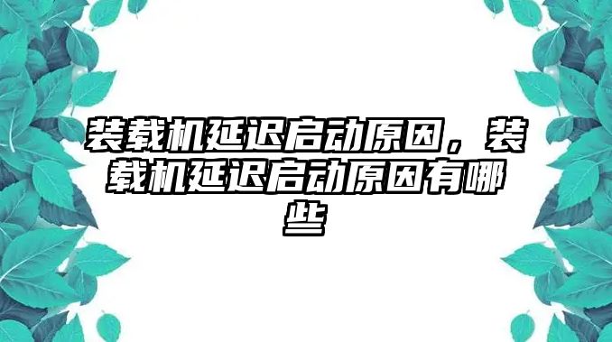 裝載機延遲啟動原因，裝載機延遲啟動原因有哪些