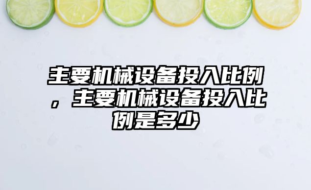 主要機械設備投入比例，主要機械設備投入比例是多少