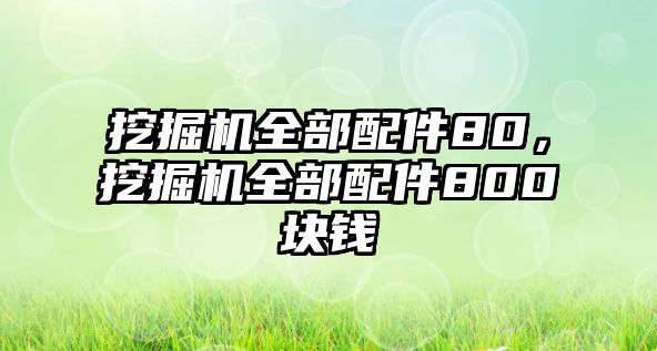 挖掘機全部配件80，挖掘機全部配件800塊錢