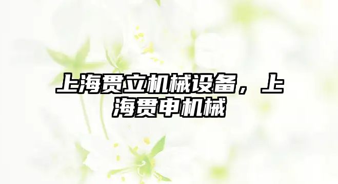 上海貫立機械設(shè)備，上海貫申機械