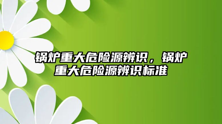 鍋爐重大危險源辨識，鍋爐重大危險源辨識標準