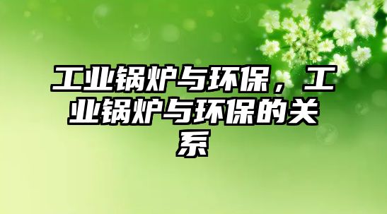 工業鍋爐與環保，工業鍋爐與環保的關系