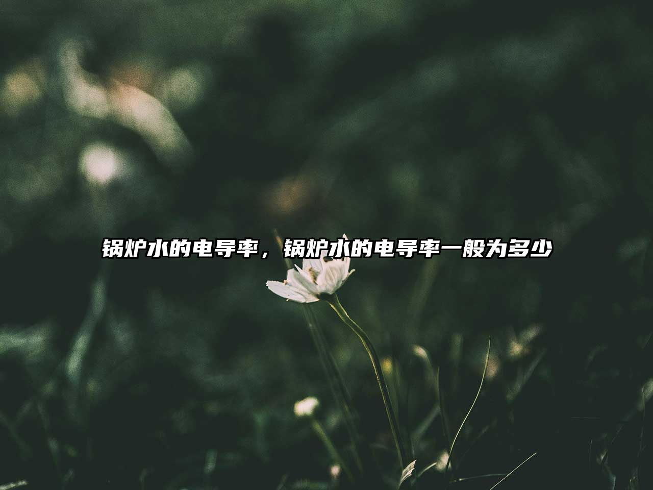 鍋爐水的電導(dǎo)率，鍋爐水的電導(dǎo)率一般為多少