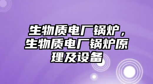 生物質電廠鍋爐，生物質電廠鍋爐原理及設備