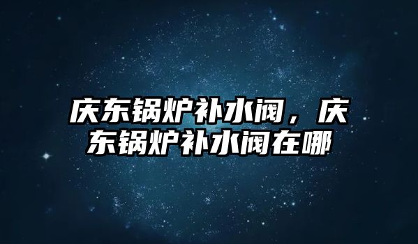 慶東鍋爐補水閥，慶東鍋爐補水閥在哪