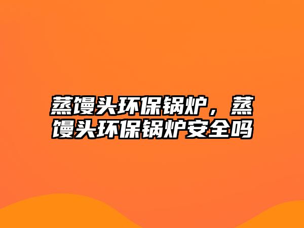 蒸饅頭環保鍋爐，蒸饅頭環保鍋爐安全嗎