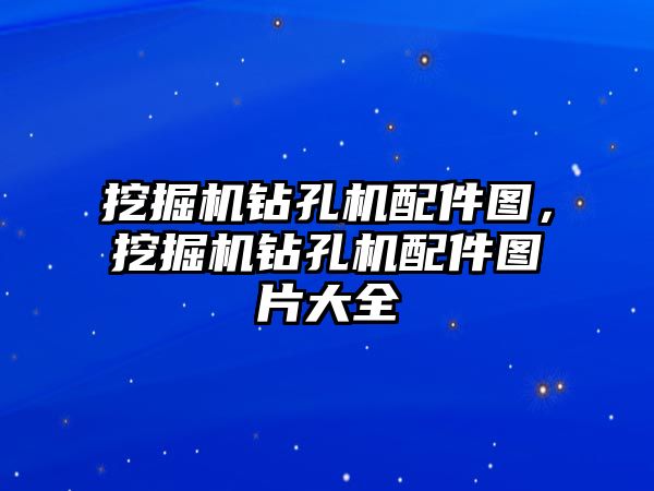 挖掘機鉆孔機配件圖，挖掘機鉆孔機配件圖片大全