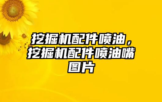 挖掘機配件噴油，挖掘機配件噴油嘴圖片